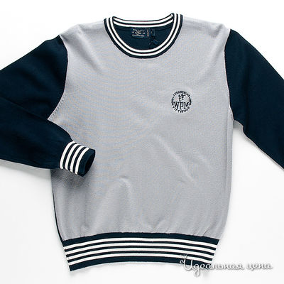 Джемпер WPM, цвет цвет серый / синий