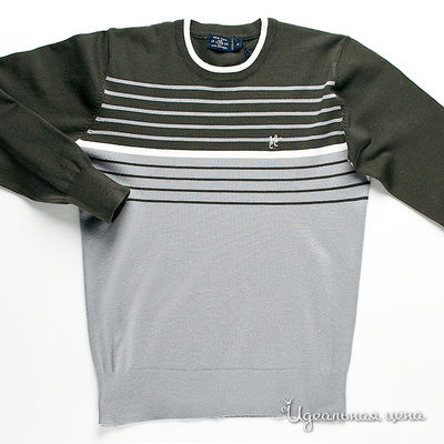 Джемпер WPM, цвет цвет серый / темно-зеленый