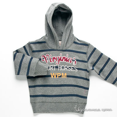 Толстовка WPM, цвет цвет серый