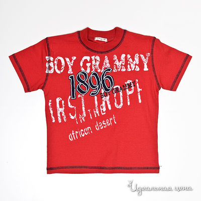 Футболка Grammy