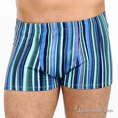 Трусы Trinitas, цвет цвет синий/ принт полоска