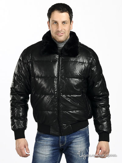 Пуховики Evolution, цвет цвет черный