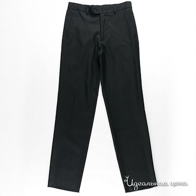 Брюки Silver Spoon, цвет цвет черный