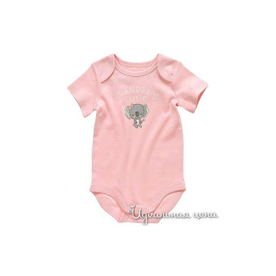 Боди Crazy8, цвет цвет розовый