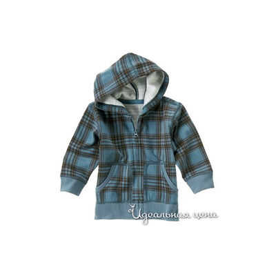 Толстовка Crazy8, цвет цвет голубой / коричневый