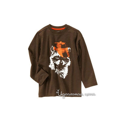 Толстовка Crazy8, цвет цвет коричневый