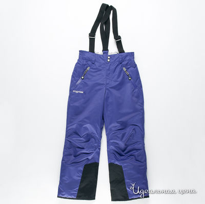 Брюки Progress by Reima, цвет цвет синий