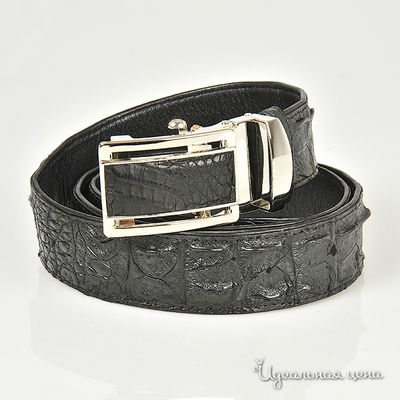 Ремень BLQ, цвет цвет черный