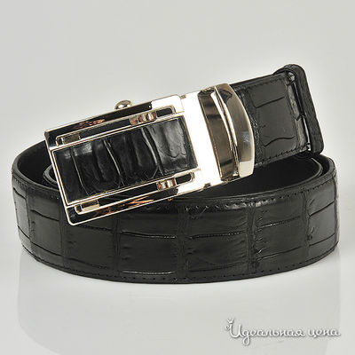 Ремень BLQ, цвет цвет черный