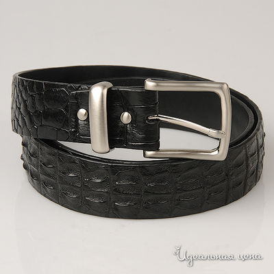 Ремень BLQ, цвет цвет черный