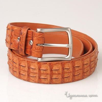 Ремень BLQ, цвет цвет коньячный