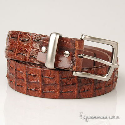 Ремень BLQ, цвет цвет коричневый