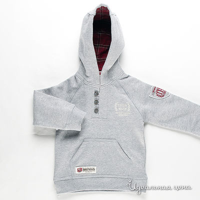 Толстовка Orchestra, цвет цвет серый