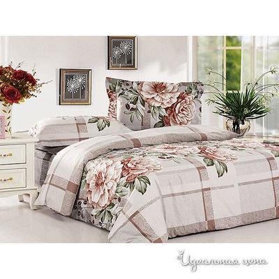 Комплект Softline