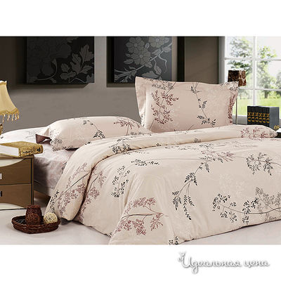 Комплект Softline