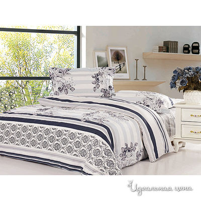 Комплект Softline