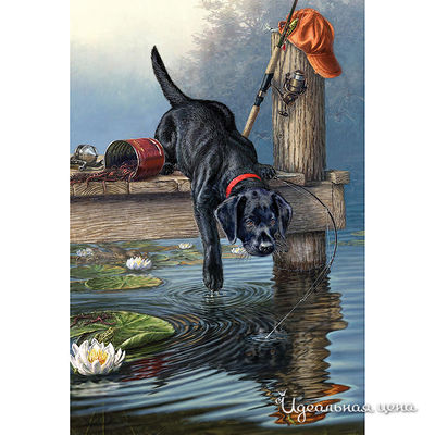 Набор Reeves (Oasis)