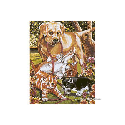 Набор Reeves (Oasis)