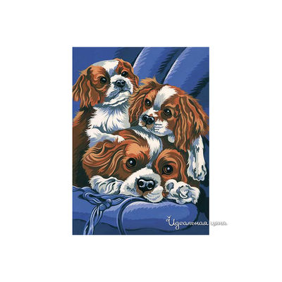 Набор Reeves (Oasis)