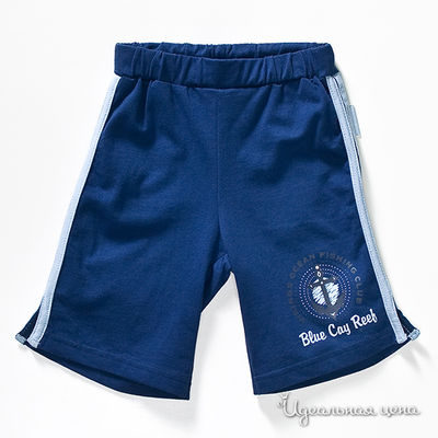 Шорты Coccodrillo