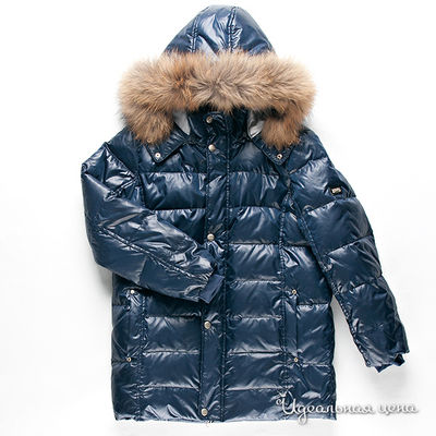 Пуховик Comusl, цвет цвет синий