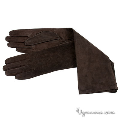 Перчатки Dali Exclusive, цвет цвет коричневый