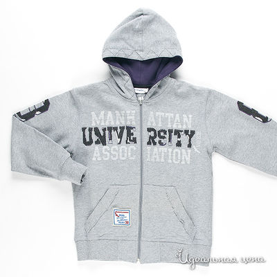 Толстовка Dodipetto, цвет цвет серый