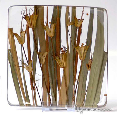 Тарелка Riccardo Marzi