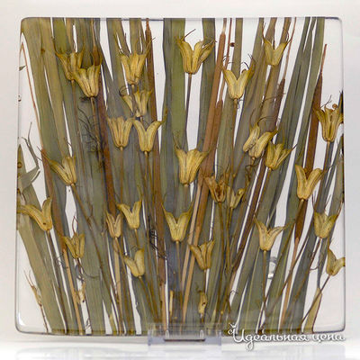 Тарелка Riccardo Marzi