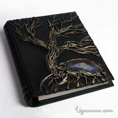 Книга Кажан, цвет цвет зеленый