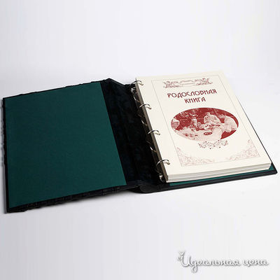 Книга Кажан, цвет цвет зеленый