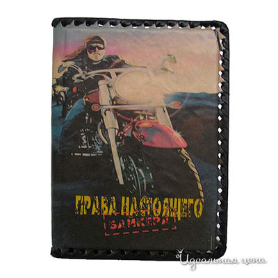 Обложка Кажан, цвет цвет мультиколор