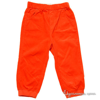 Брюки Венейя, цвет цвет оранжевый