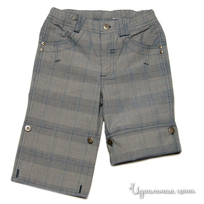 Бриджи Венейя, цвет цвет серый / принт клетка