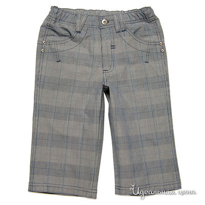 Бриджи Венейя, цвет цвет серый / принт клетка