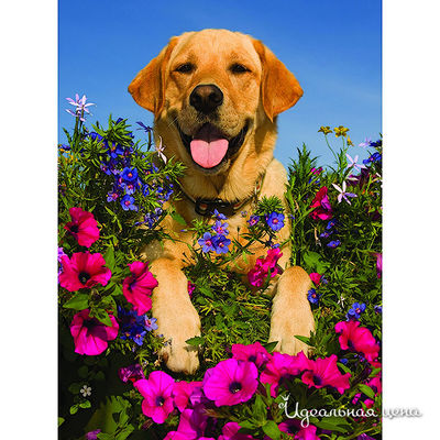 Пазл Ravensburger