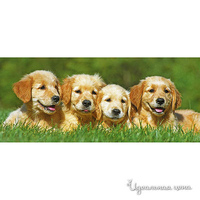 Пазл Ravensburger