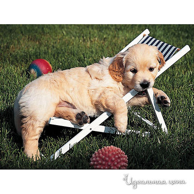 Пазл Ravensburger