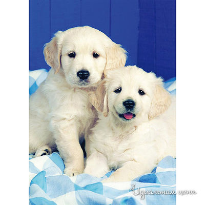 Пазл Ravensburger