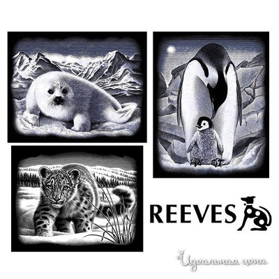 Набор Reeves (Oasis)