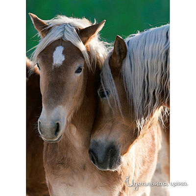 Пазл Ravensburger