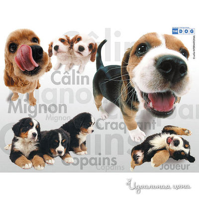 Пазл Ravensburger