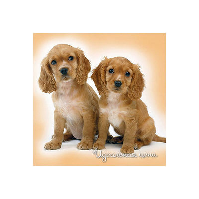 Пазл Ravensburger