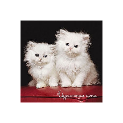 Пазл Ravensburger