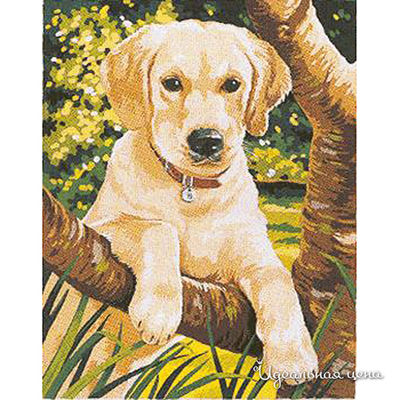 Набор Reeves (Oasis)