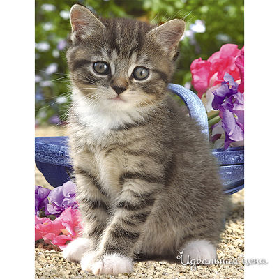 Пазл Ravensburger