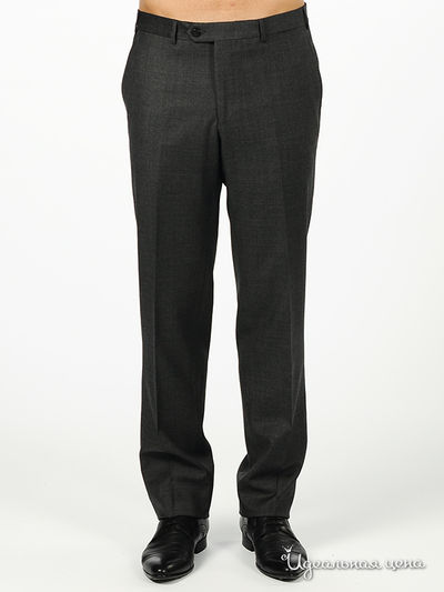 Брюки SARTORIA ROSSINI, цвет цвет серый