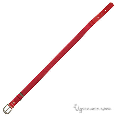Ремень Gulliver, цвет цвет красный