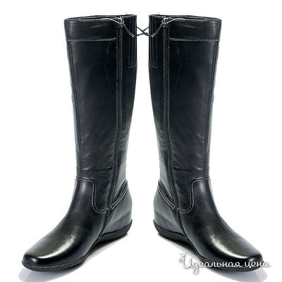 Сапоги Мультибренд, цвет цвет черный