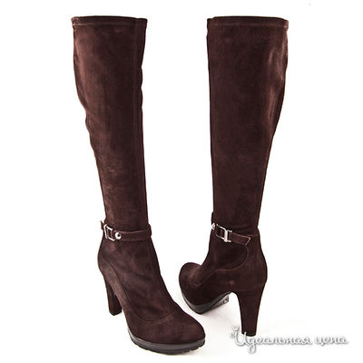 Сапоги Мультибренд, цвет цвет черный